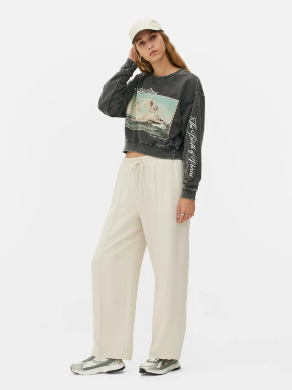 Primark Alexandre Cabanel Cropped Sweatshirt Charcoal Online