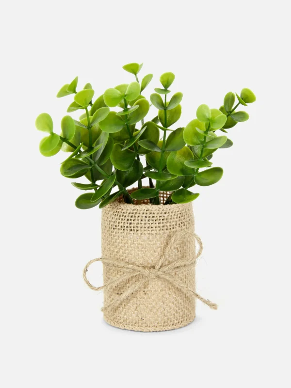 Primark Faux Succulent In Jute Pot Multi Flash Sale