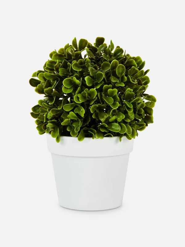 Primark Faux Succulent In Pod White Sale