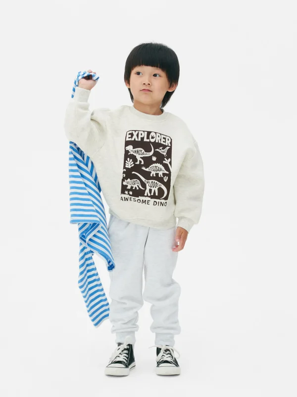 Primark Graphic Sweatshirt Gray Online