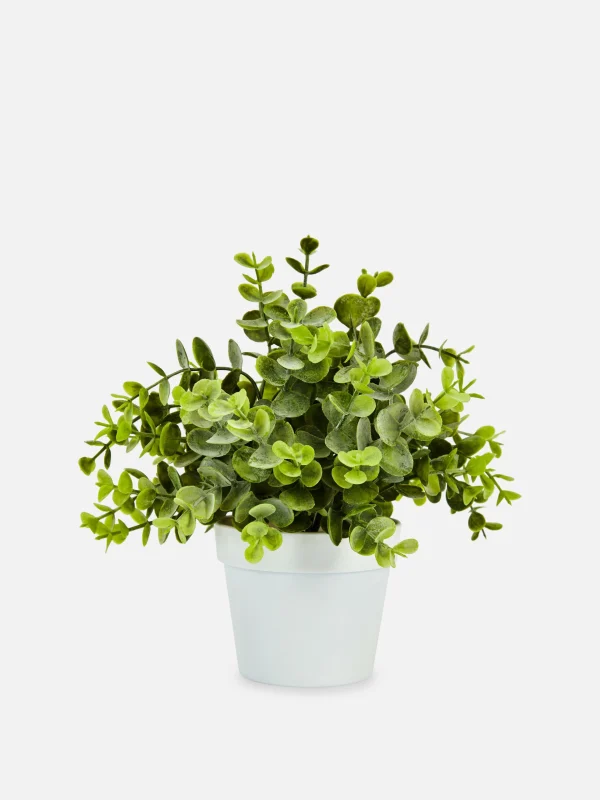 Primark Small Faux Eucalyptus Plant White Cheap